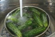 Crispy pickled cucumbers Recipe for winter crispy cucumbers in jars
